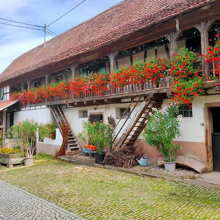 Chambres D'Hotes De Charme A La Ferme Freysz Quatzenheim Exterior foto